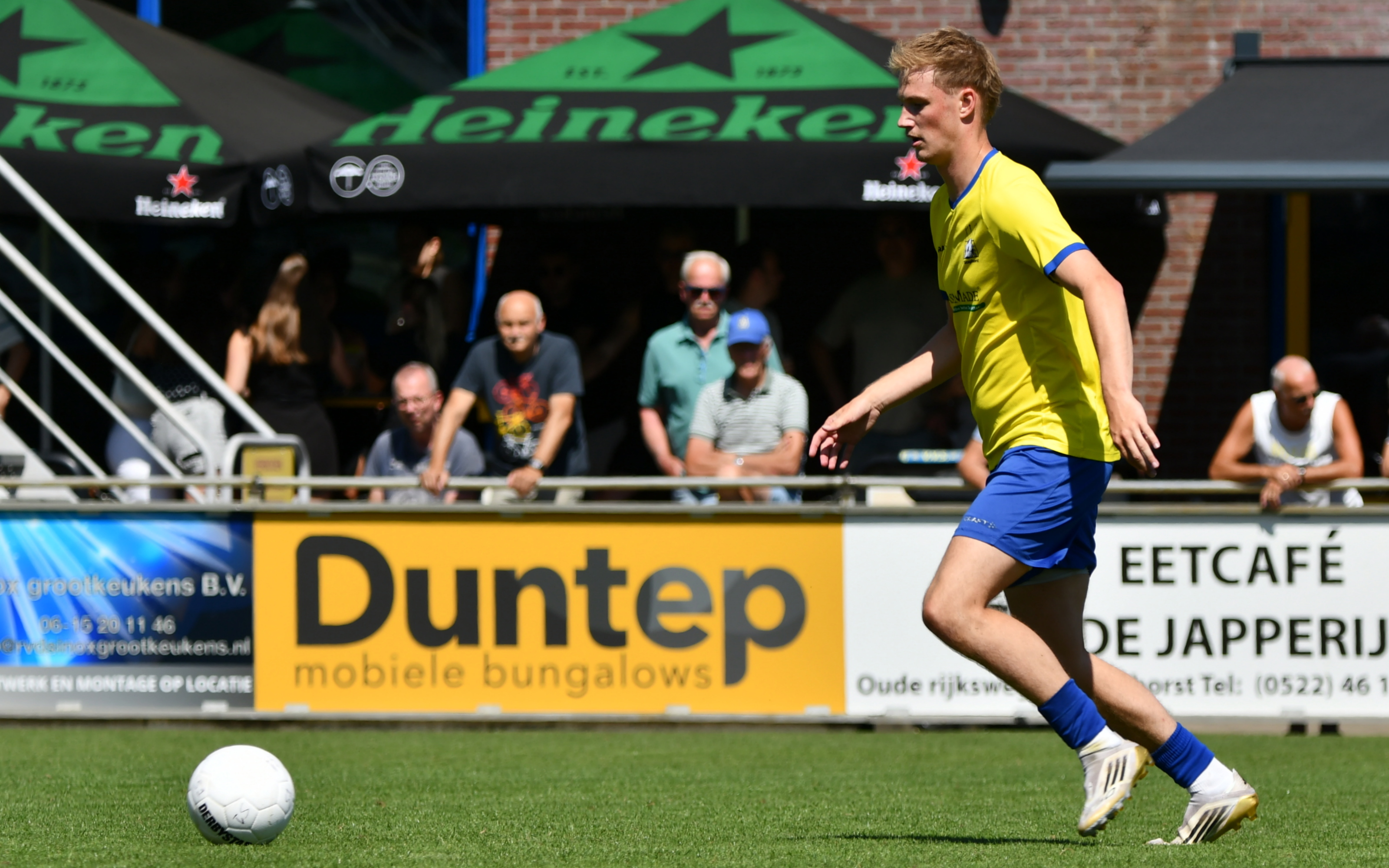 Milan de Koe